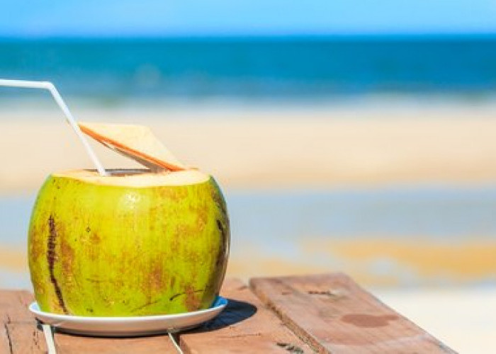 Liburan ke Pantai Sambil Minum Air Kelapa, Berikut 12 Manfaatnya untuk Tubuh