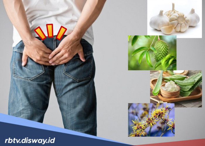 4 Tanaman Obat Herbal untuk Atasi Ambeien, Begini Cara Penggunaannya