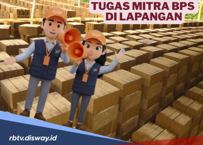 Ini Tugas yang Diemban Mitra Statistik BPS di Lapangan