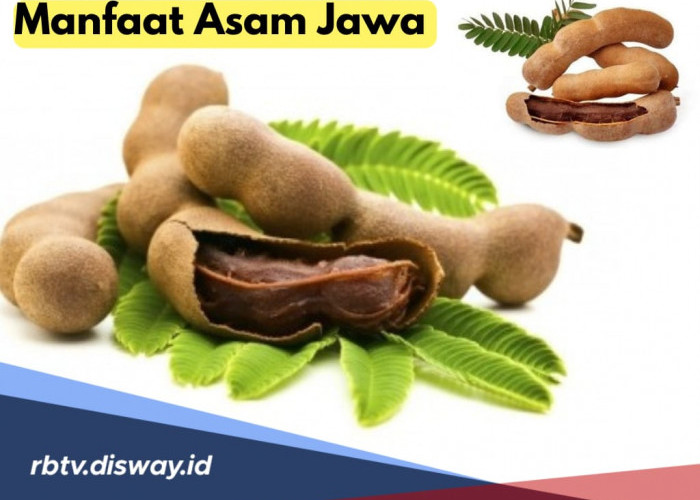 11 Khasiat Asam Jawa untuk Kesehatan Tubuh, Bukan Sekadar Bumbu Masak