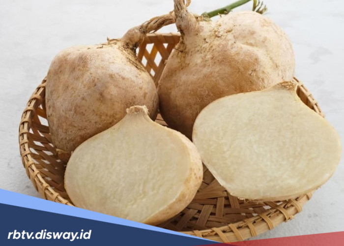 7 Manfaat Bengkoang untuk Kesehatan Tubuh dan Kulit