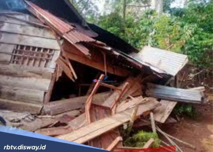 Meresahkan, Kawanan Gajah Liar Masuk ke Pemukiman Warga, Rusak 15 Rumah dan Curi Hasil Panen