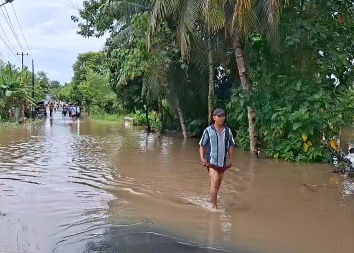 Pasca Hujan Panjang, Sejumlah Ruas Jalan hingga Rumah Terendam Banjir