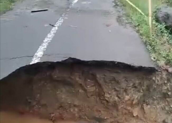 Ada 12 Desa di Kabupaten Lebong yang Terendam Banjir, di Rimbo Pengadang Tanah Longsor dan Jalan Putus