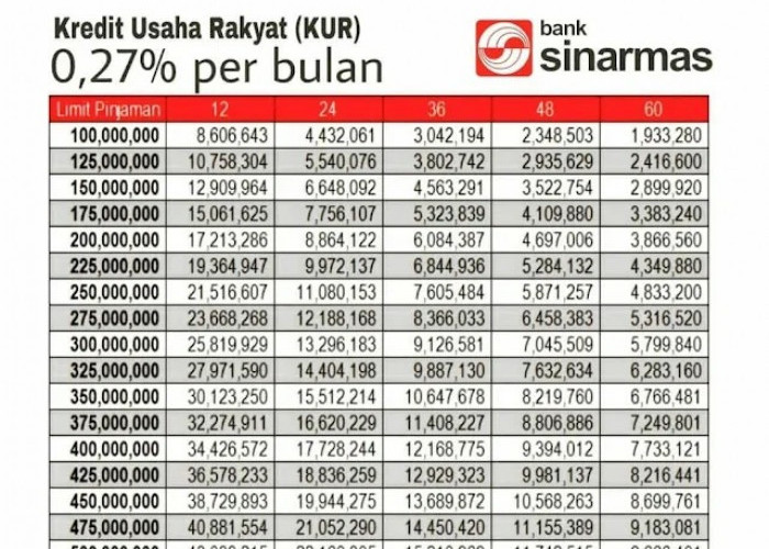 Tabel Pinjaman KUR Sinarmas, Plafon Rp 100 Juta Cicilan Terjangkau, Cek Syarat pengajuannya