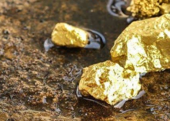 Harta Karun Emas Peninggalan Belanda di Sumatera Barat, Bisa Hasilkan 50 Kg per Hari