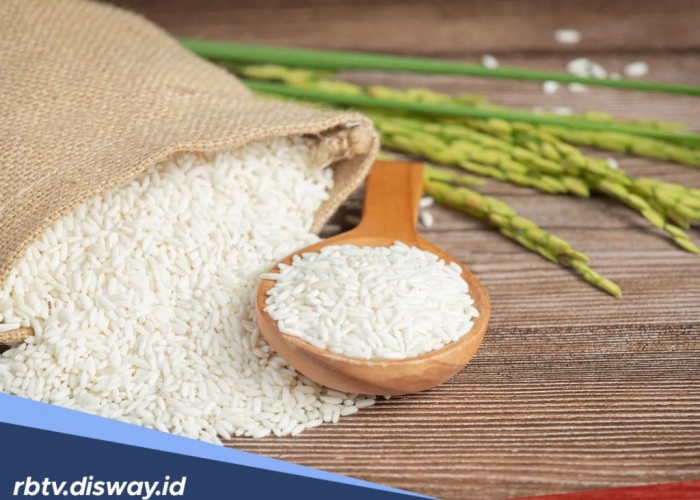 Sekilas Mirip, Begini Cara Mengenali Beras Premium Asli dan Oplosan