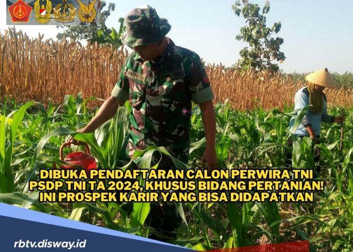 Dibuka Pendaftaran Calon Perwira TNI PSDP TNI TA 2024, Khusus Bidang Pertanian! Ini Prospek Karirnya