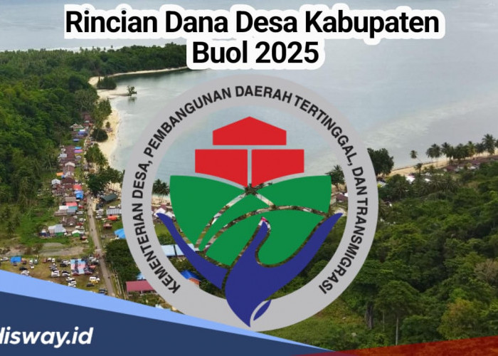 Rincian Dana Desa Kabupaten Buol 2025, Ada 8 Desa yang Terima Kucuran DD Rp 1 Miliar