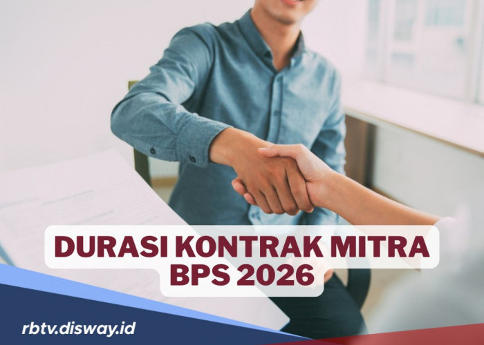 Calon Mitra Statistik BPS 2026 Perlu Tahu, Ini Durasi dan Ketentuan Kontrak Kerjanya