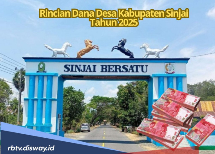 Tabel DANA Desa Kabupaten Sinjai 2025, Berikut Rincian Dana untuk 67 Desa