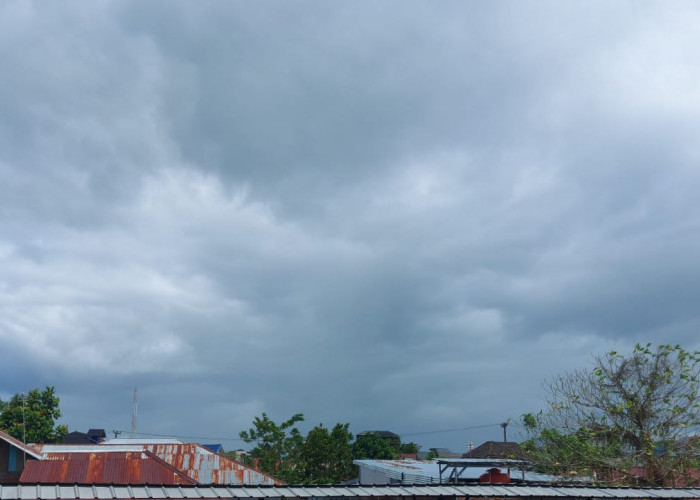 PERINGATAN TERKINI BMKG; 23 Provinsi Hujan, 6 Kabupaten di Bengkulu Hujan Lebat dan Petir