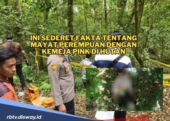 Ini Sederet Fakta Tentang Mayat Perempuan dengan Kemeja Pink di Hutan, Identitasnya Sudah Diketahui!