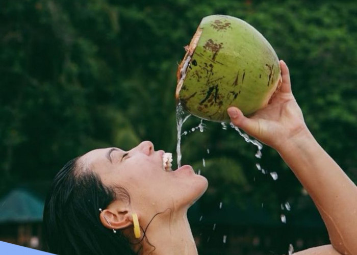 Selain Menyegarkan, Berikut Segudang Manfaat Air Kelapa Muda untuk Kecantikan