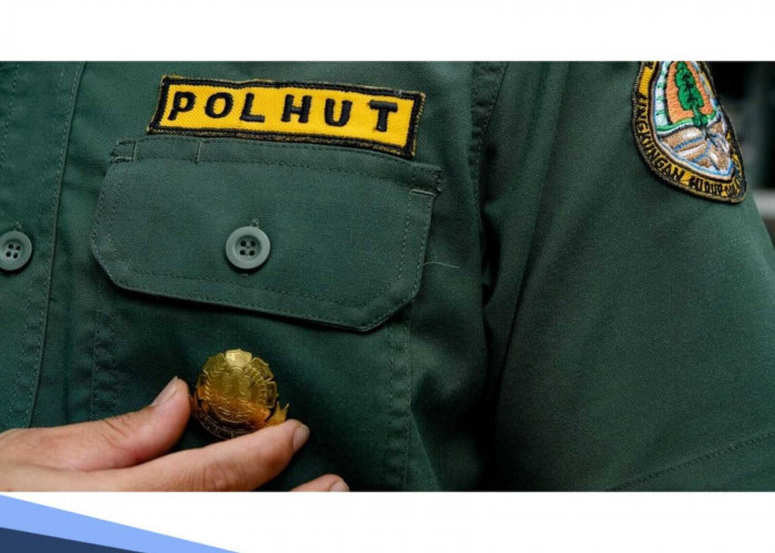 Banjir Peminat, Ini Syarat Daftar CPNS Polhut 2026 