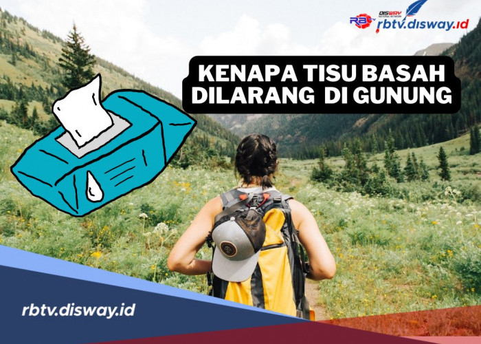 Kenapa Tisu Basah Dilarang Dibawa saat Mendaki Gunung? Rupanya Ini Alasannya