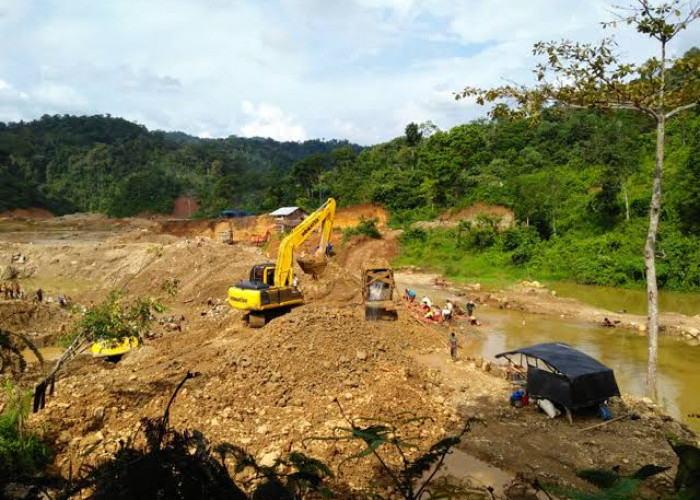 Tambang Emas di Solok Selatan yang Lokasinya Berbahaya dan Angker, Sering Makan Korban