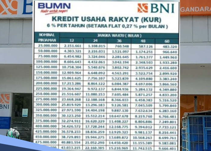 Tabel Angsuran KUR BNI 2024 Pinjaman Rp 40-75 Juta Tetap Bisa Cair Walaupun Ada KPR