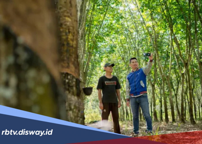 Simulasi Tabel Angsuran KUR BRI Rp 100 Juta, Pengajuan Bisa Offline dan Online