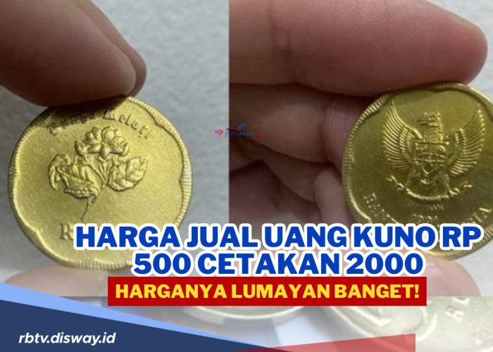 Harga Jual Uang Kuno Rp 500 Cetakan 2000, Lumayan Banget! Ada di Rumah? Jangan Sampai Kebuang