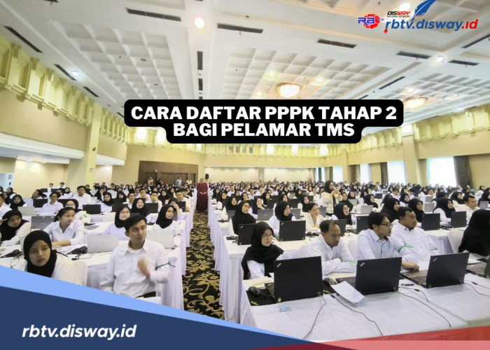 Cara Daftar PPPK Tahap 2 Bagi Pelamar TMS, Ini Kriteria dan Persyaratannya