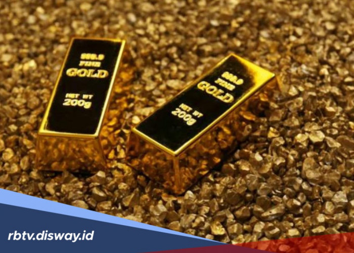 Ini Wilayah di Bengkulu yang Menyimpan Harta Karun Tambang