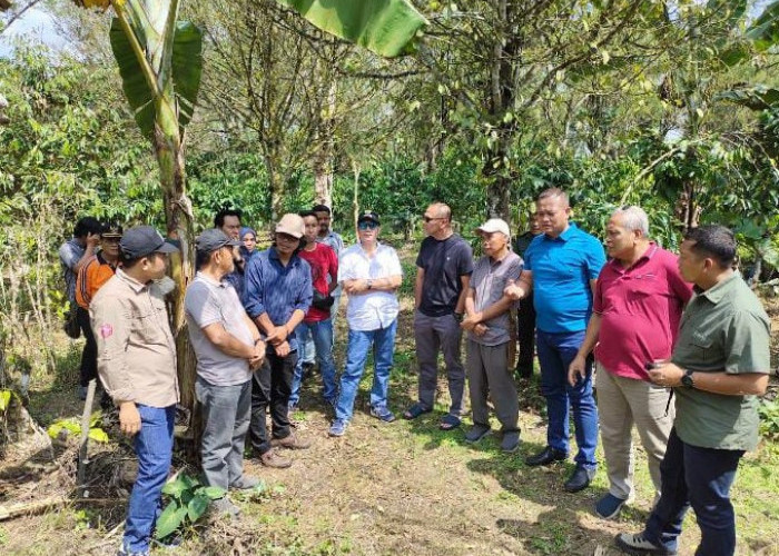 Pemkab Kepahiang Siapkan Lahan 7 Hektare untuk Belajar tentang Kopi
