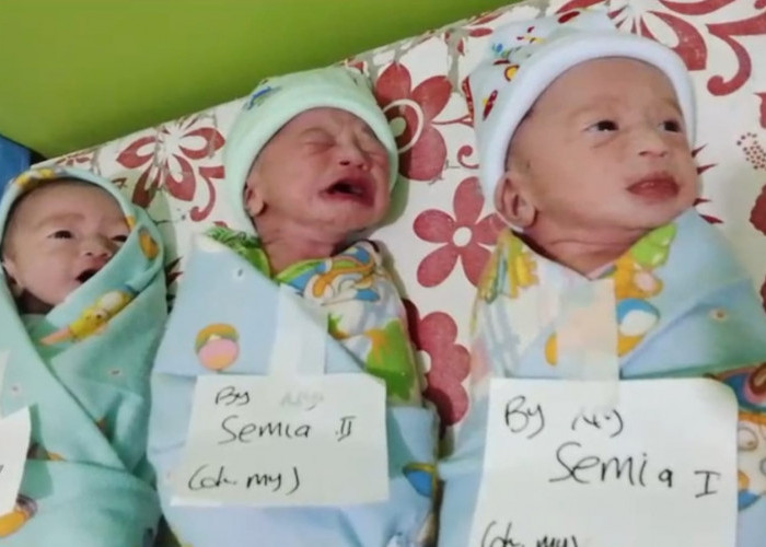 Pasutri di Ilir Talo Seluma Dikaruniai Bayi Kembar Tiga, Sang Nenek Berharap Pemerintah Bantu Pemenuhan Gizi  