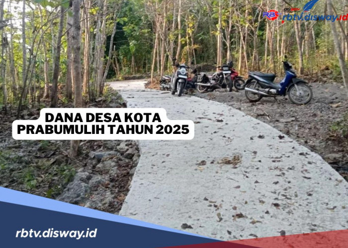 Dana Desa di Kota Prabumulih tahun 2025, Ada 2 Desa Dapat Kucuran Rp 1 Miliar