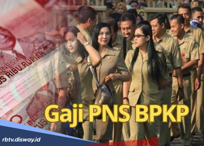 Sudah Disahkan, Segini Gaji PNS BPKP Berdasarkan Formasi Jabatan, Lengkap Tunjangannya