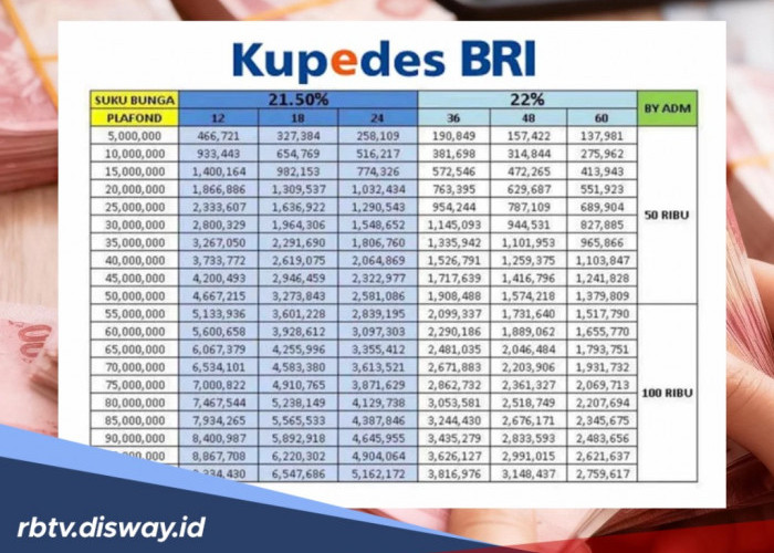Pinjaman Kupedes BRI Rp 15 Juta Ditolak? Jangan Galau, Berikut Penyebab dan Panduan yang Harus Diperbaiki