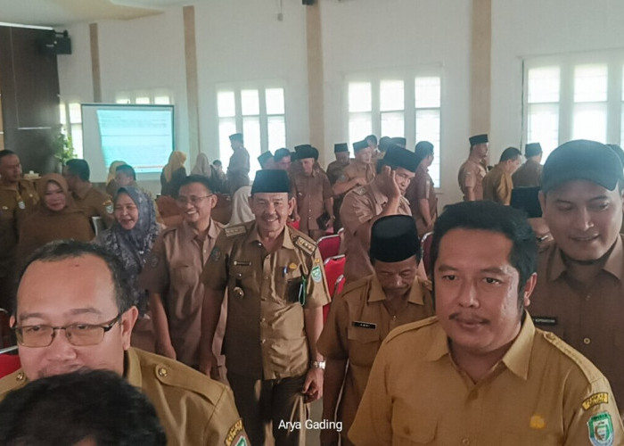 1.900 Honorer Seluma Dirumahkan tapi 3 Jenis Honorer Berikut Bisa Diangkat Kembali