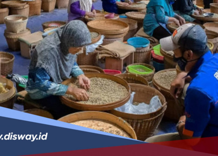KUR Hadir UMKM Bangkit, Cek Tabel Angsuran KUR BRI Pinjaman Rp 50 Juta