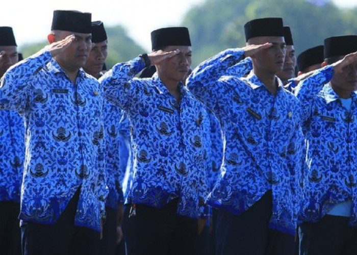 Terbaru Segini Honorarium Pengadaan Barang dan Jasa, Mulai dari Pejabat Pengadaan hingga Pengguna Anggaran