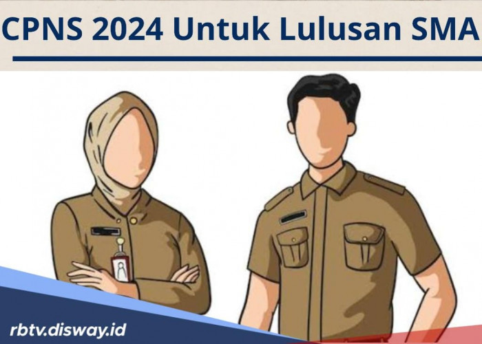 Dibuka 4 Hari Lagi! Ini Daftar Formasi CPNS 2024 Khusus Lulusan SMA