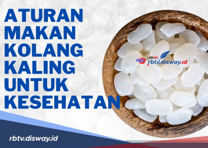 Begini Aturan Makan Kolang Kaling untuk Kesehatan dan Cara Mengolah Agar Kandungan Gizinya Tidak Hilang