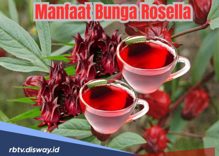 8 Manfaat untuk Kesehatan Tubuh Jika Rutin Konsumsi Teh Bunga Rosella