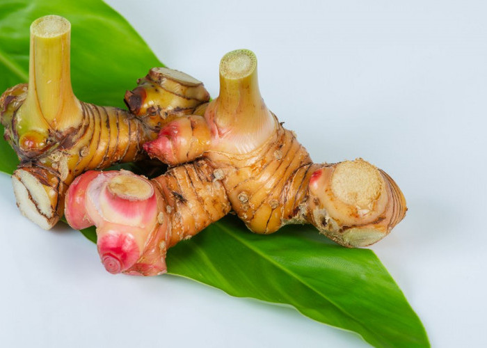 Bukan Cuma Jadi Bumbu Masakan, Ini Manfaat Lengkuas untuk Kesehatan 