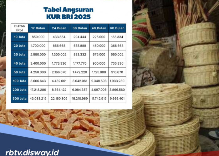 KUR BRI 2025, Pinjaman Modal Bisnis UMKM Rp 50 Juta Tanpa Jaminan, Ini Skema Angsuran
