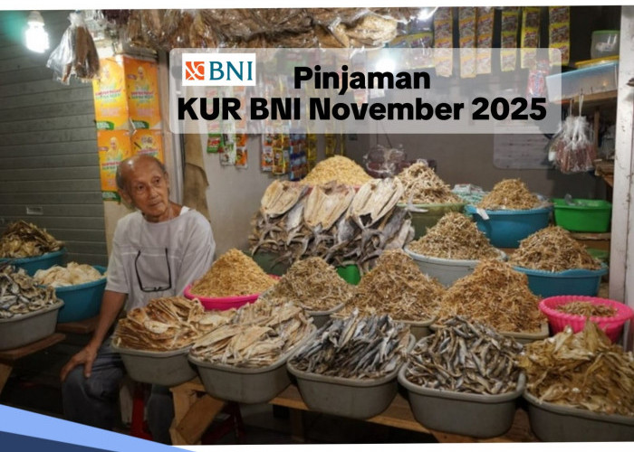 Jangan Sampai Menyesal!!! Pinjaman KUR BNI Rp 50-100 Juta November 2025, Tidak Perlu Jaminan