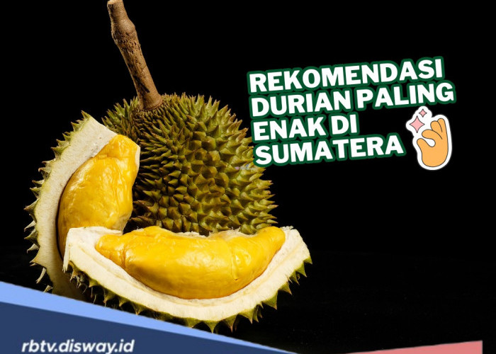 Rekomendasi Durian Paling Enak di Sumatera, Daging Tebal dan Rasa Manis yang Khas, Bikin Ngiler!