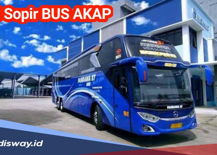 Banyak yang Tanya, Berapa Gaji Sopir Bus AKAP di Indonesia? Ini Rinciannya