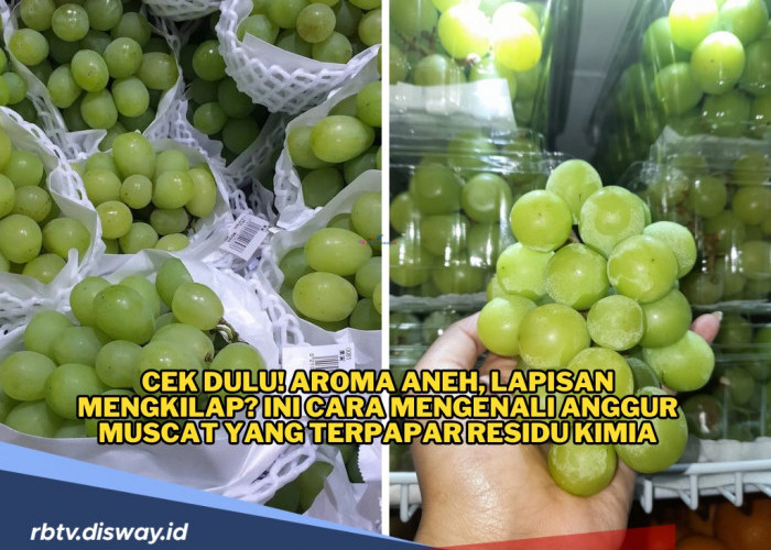  10 Cara Mengenali Anggur Muscat yang Terpapar Residu Kimia Melebihi Ambang Batas