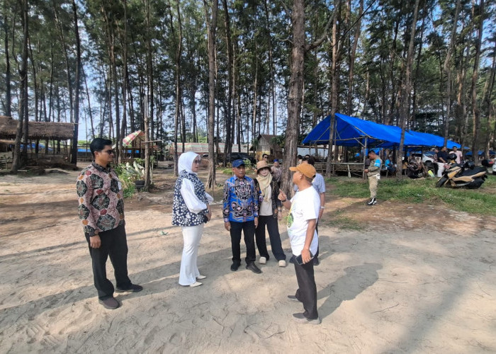 Pantai Panjang Semakin Indah, Pemkot Bengkulu Terima Bantuan Gazebo dari CSR Bank Bengkulu