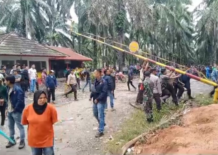 Bentrok di PT Agricinal, Beberapa Warga Dilaporkan Terluka