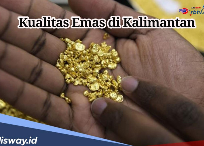 Sudah Tahu Belum? Ternyata 2 Daerah di Kalimantan Ini Mampu Hasilkan Emas Berkualitas, di Sini Lokasinya