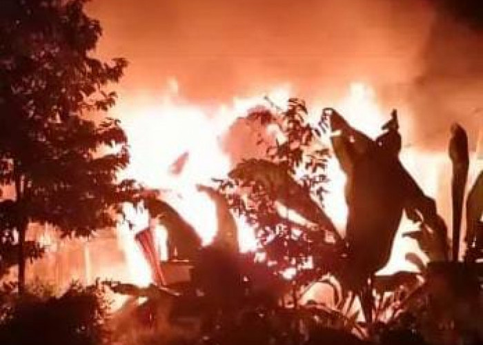 Kebakaran di Kepahiang, Penghuni Rumah Dilarikan ke Rumah Sakit