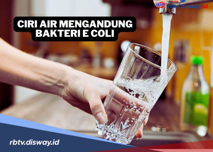 Waspadai Potensi Bahayanya, 4 Ciri-ciri Air Minum yang Mengandung Bakteri E. Coli