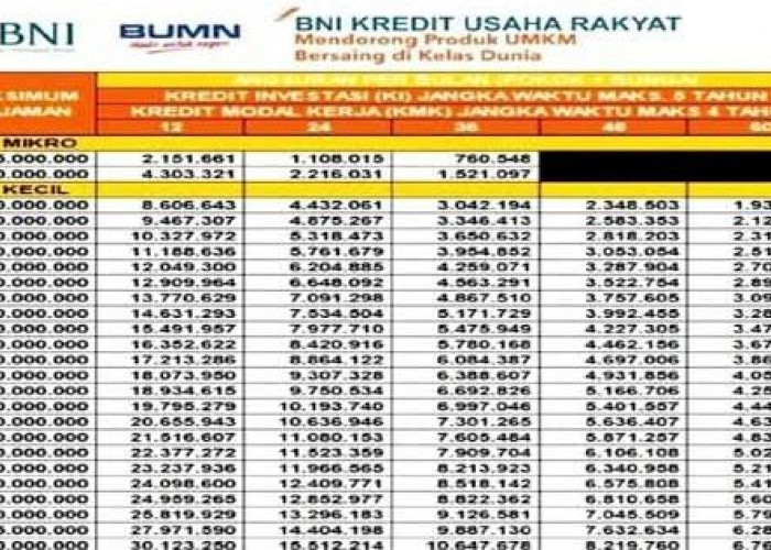 Update Syarat Pinjam Dana KUR BNI Rp25 Juta, Ini Tabel Angsuran KUR BNI 2024 Pinjaman Rp25 Juta