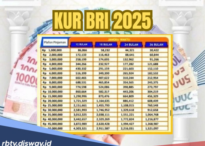 Simulasi Tabel KUR BRI 2025 Pinjaman Rp 50 Juta Tanpa Jaminan untuk Modal Usaha UMKM